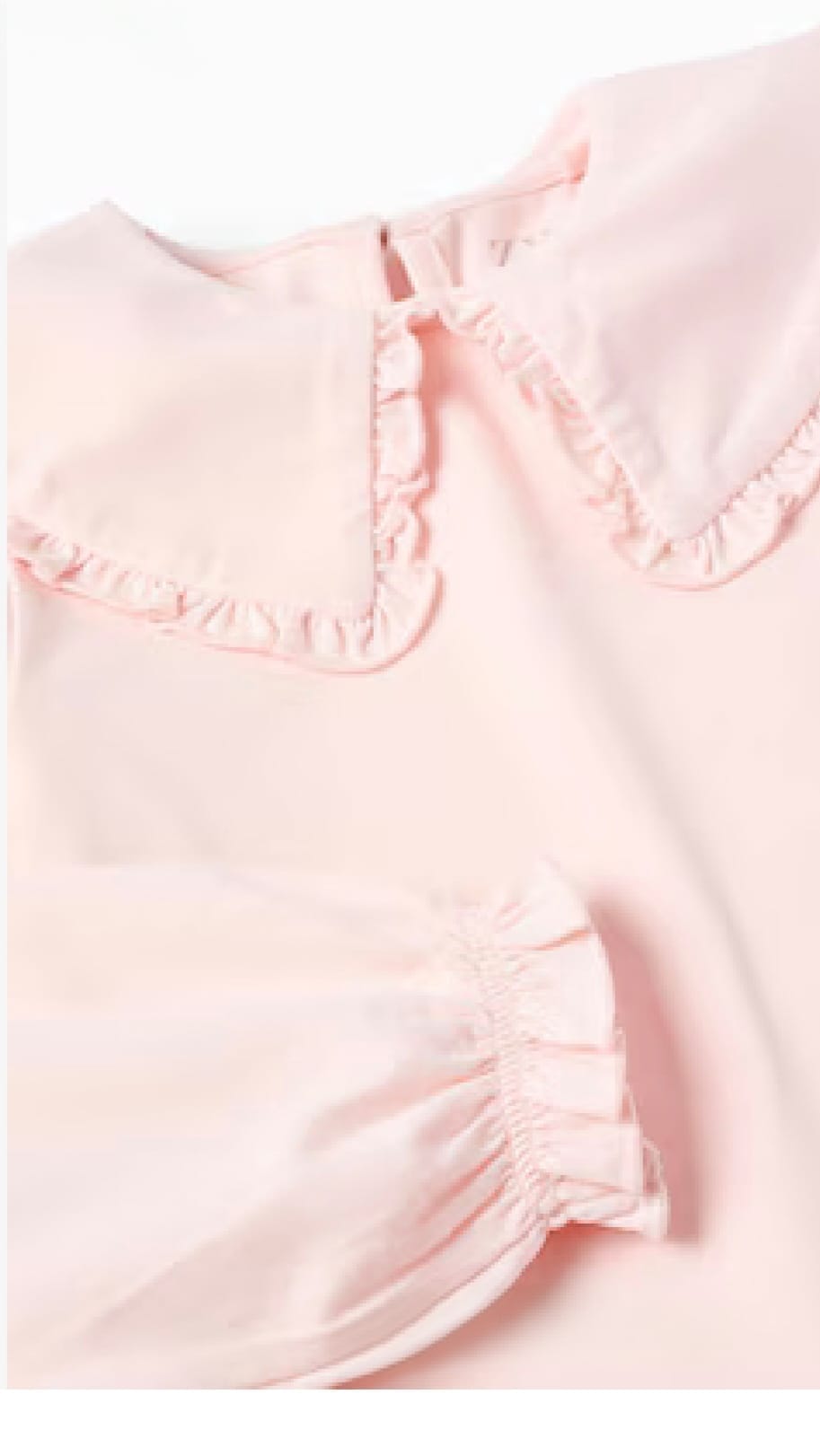 rosa1