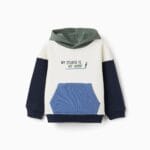 Sudadera niño Zippy multicolor 9/12-24/36 meses Ref. 0202_26049